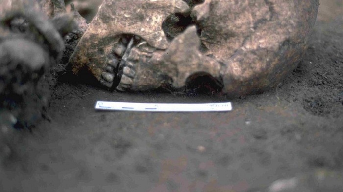 Grisly find: Roman-era man may have had tongue cut out 